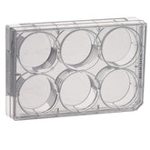 PIASTRA DI COLTURA STERILI MULTI-POZZETTO