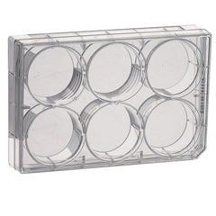 PIASTRA DI COLTURA STERILI MULTI-POZZETTO