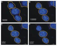 Cytation™ 1 – Lettore Multi-Mode e Microscopio Digitale per Micropiastre