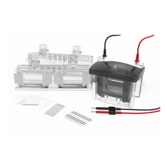 Sistema di Elettroforesi Verticale VOLT VX80 – per PAGE e SDS-PAGE