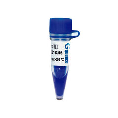 Marcatore Lambda DNA/HindIII – standard di peso molecolare per gel di agarosio