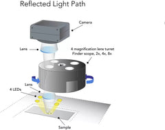 Cytation™ 7 – Sistema Integrato per Imaging Cellulare e Lettura Multi-Mode