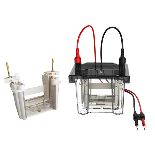 Sistema di Elettroforesi Verticale VOLT V80 – per acidi nucleici e proteine