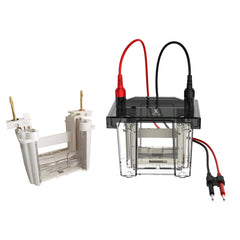 Sistema di Elettroforesi Verticale VOLT V80 – per acidi nucleici e proteine