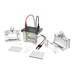Sistema di Elettroforesi Verticale VOLT V80 – per acidi nucleici e proteine