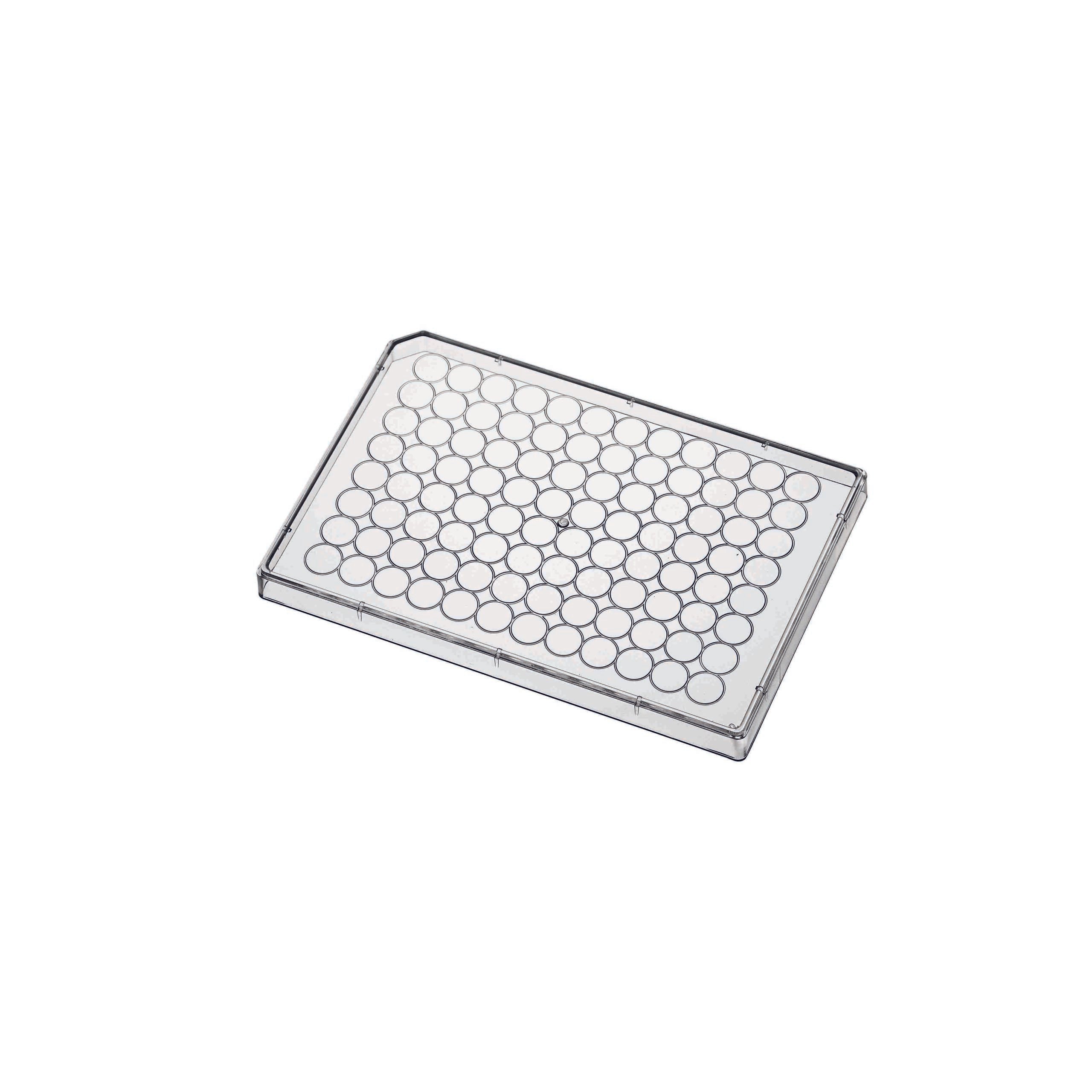 Strip Provette Microtitolazione