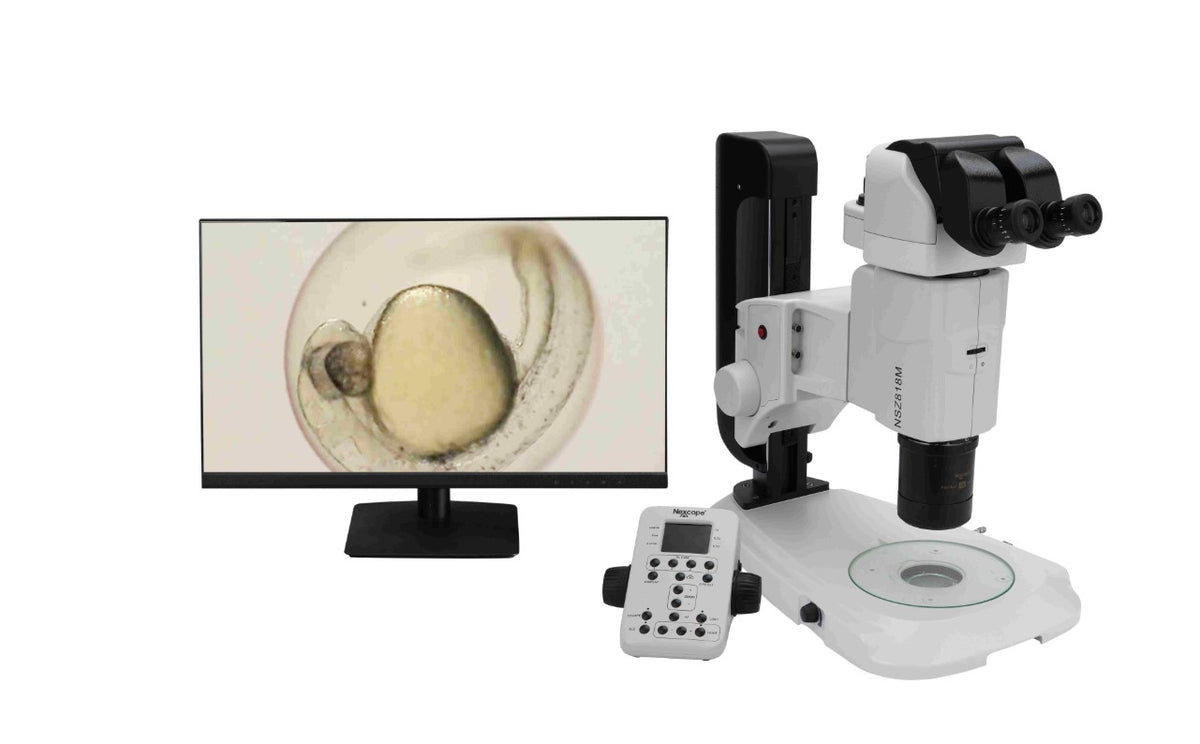 Stereomicroscopio Zoom Motorizzato Nexcope NSZ818M con Ottica Galileiana – Zoom 18:1 e Fluorescenza LED Opzionale