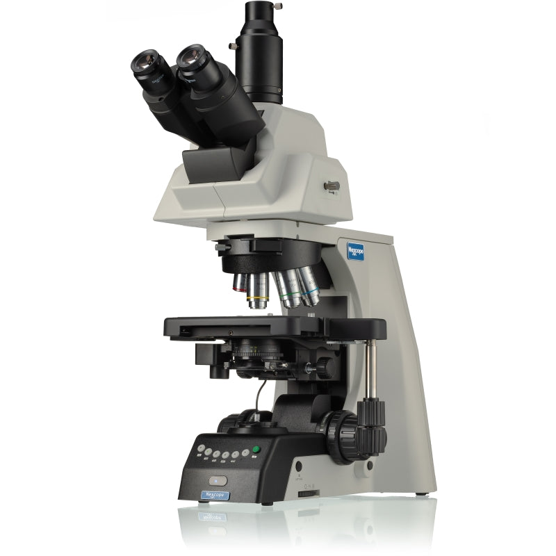Microscopio Dritto Nexcope NE930 con Revolver Motorizato – Campo Chiaro, Contrasto di Fase, DIC, Polarizzazione e Fluorescenza