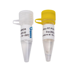 Potenziatore PCR X-VITA