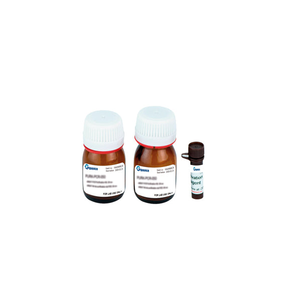 Kit di Proliferazione Cellulare XTT